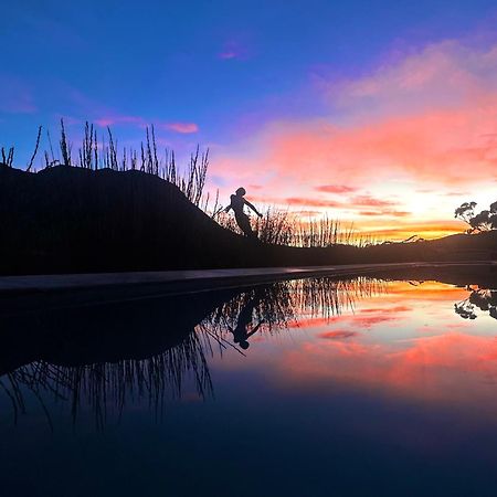 The Guardian Hermanus Luxury Self-Catering Hemel En Aarde Valley Exteriér fotografie