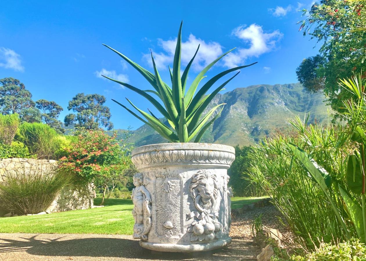 The Guardian Hermanus Luxury Self-Catering Hemel En Aarde Valley Exteriér fotografie